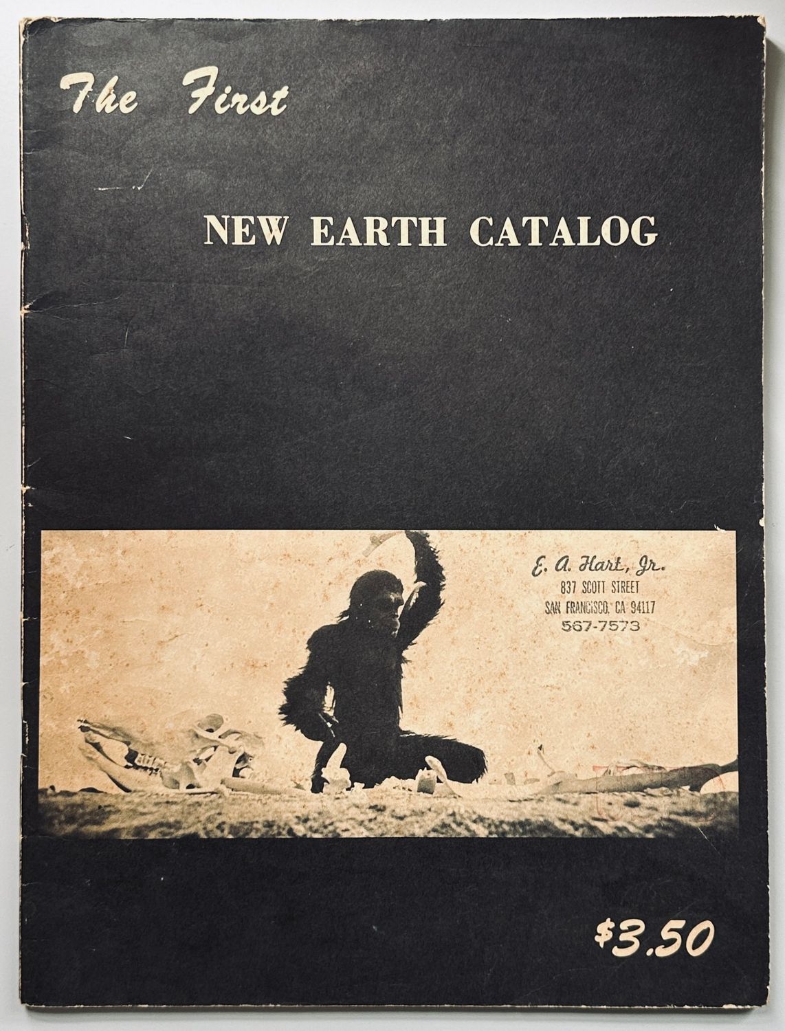 The First New Earth Catalog