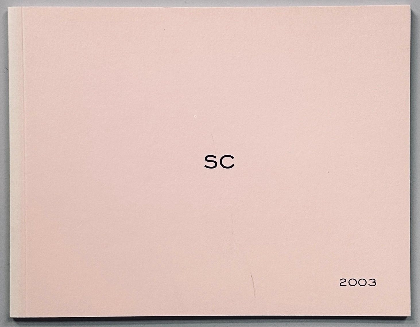 Sofia Coppola Some Pictures