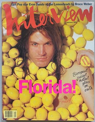 Interview 1993 Evan Dando Lemonheads