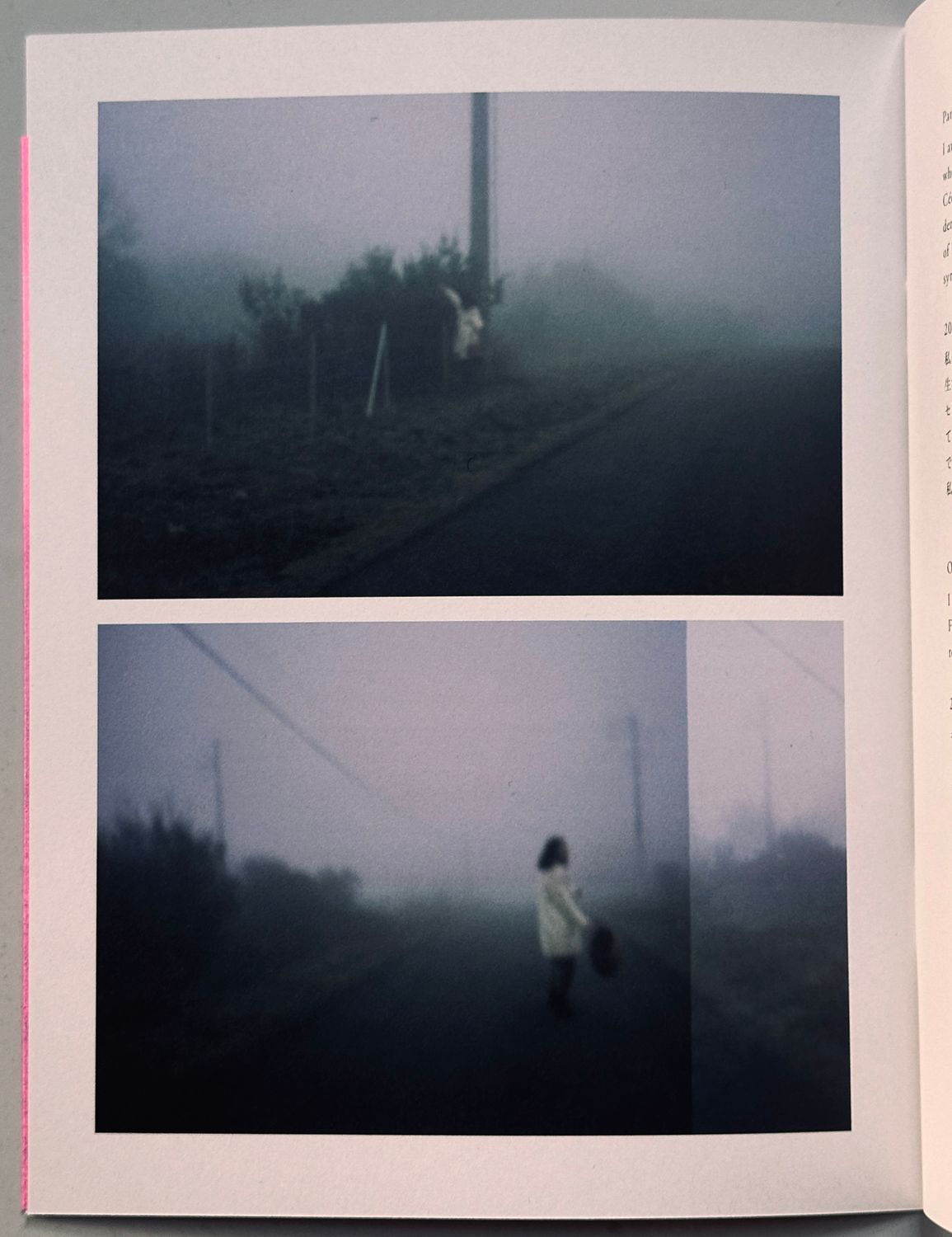 【希少】「Helene」 Elein Fleiss写真集 Rockin'on 希少】「Helene」 Elein Fleiss写真集 Rockin´on