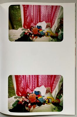 Hysteric Glamour Ibuki Zine