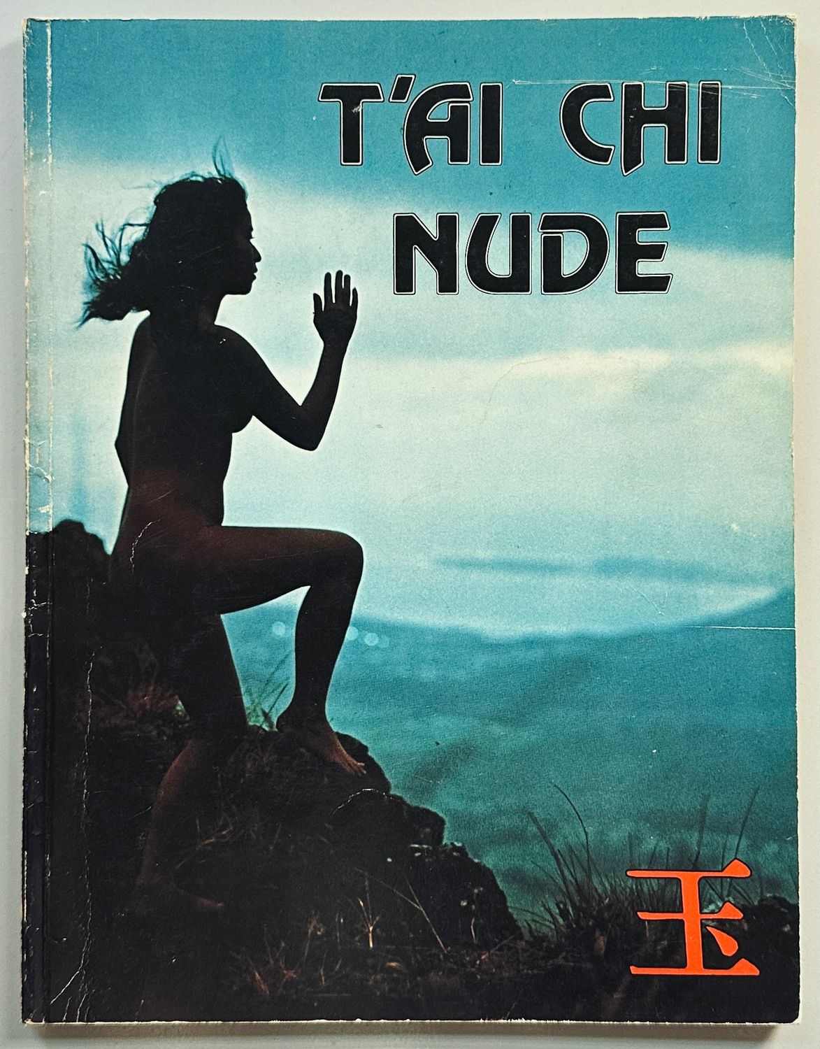 T'Ai Chi Nude