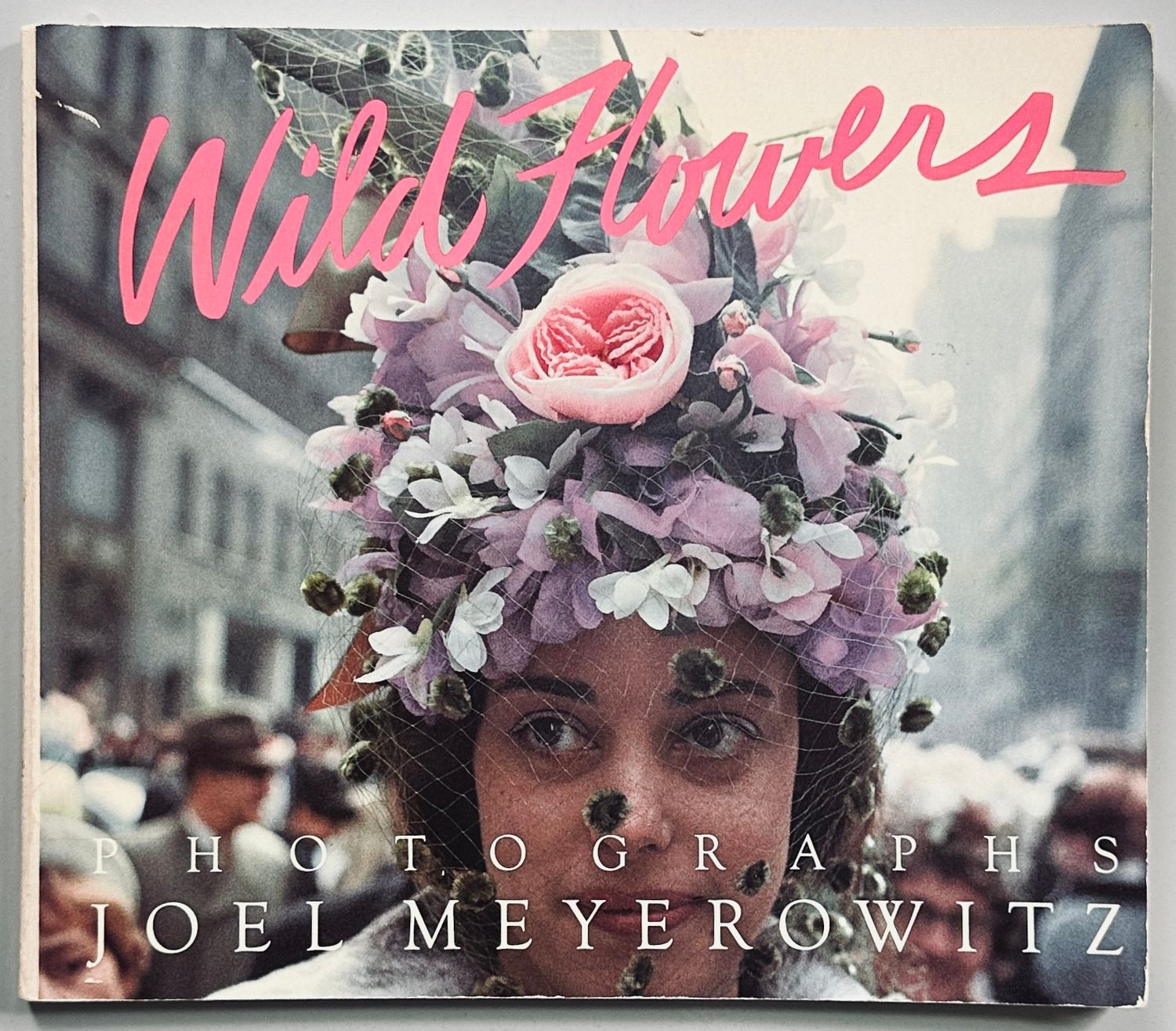 Wild Flowers Joel Meyerowitz