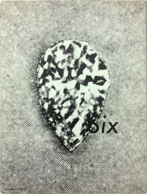 Comme des Garçons SIX NUMBER 1