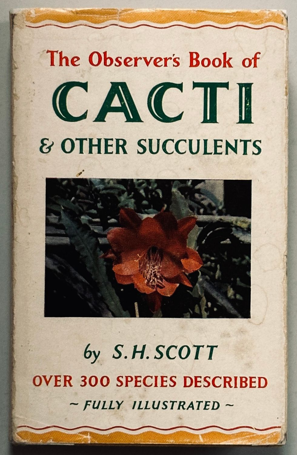 The Observer's Book of Cacti & Other Succulents