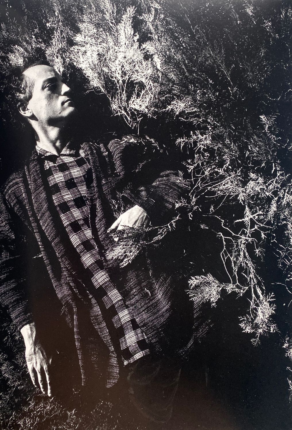 Yohji Yamamoto Pour Homme Printemps 1984