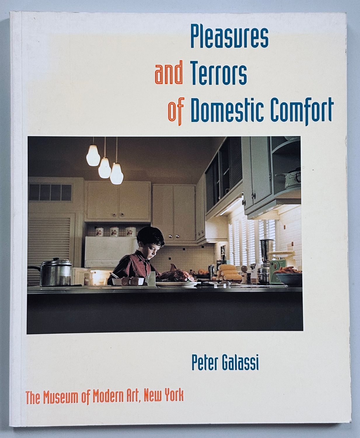 [SOLD AS SEEN] Pleasures and Terrors of Domestic Comfort