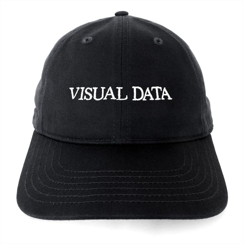 VISUAL DATA hat (Black)