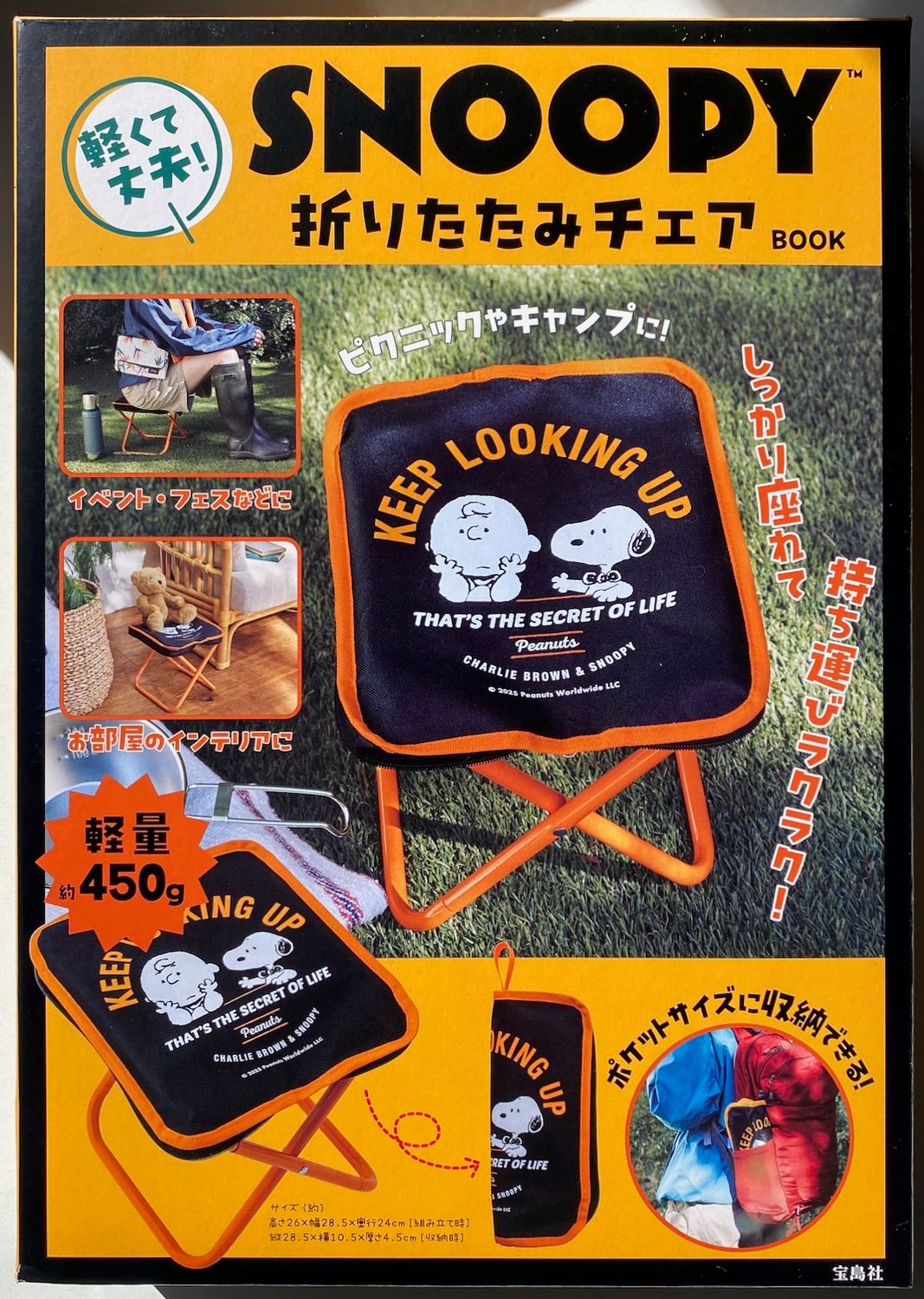 Peanuts Snoopy Folding Stool Book