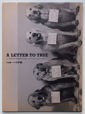 A Letter To True Bruce Weber