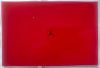 Nike Air Jordan book