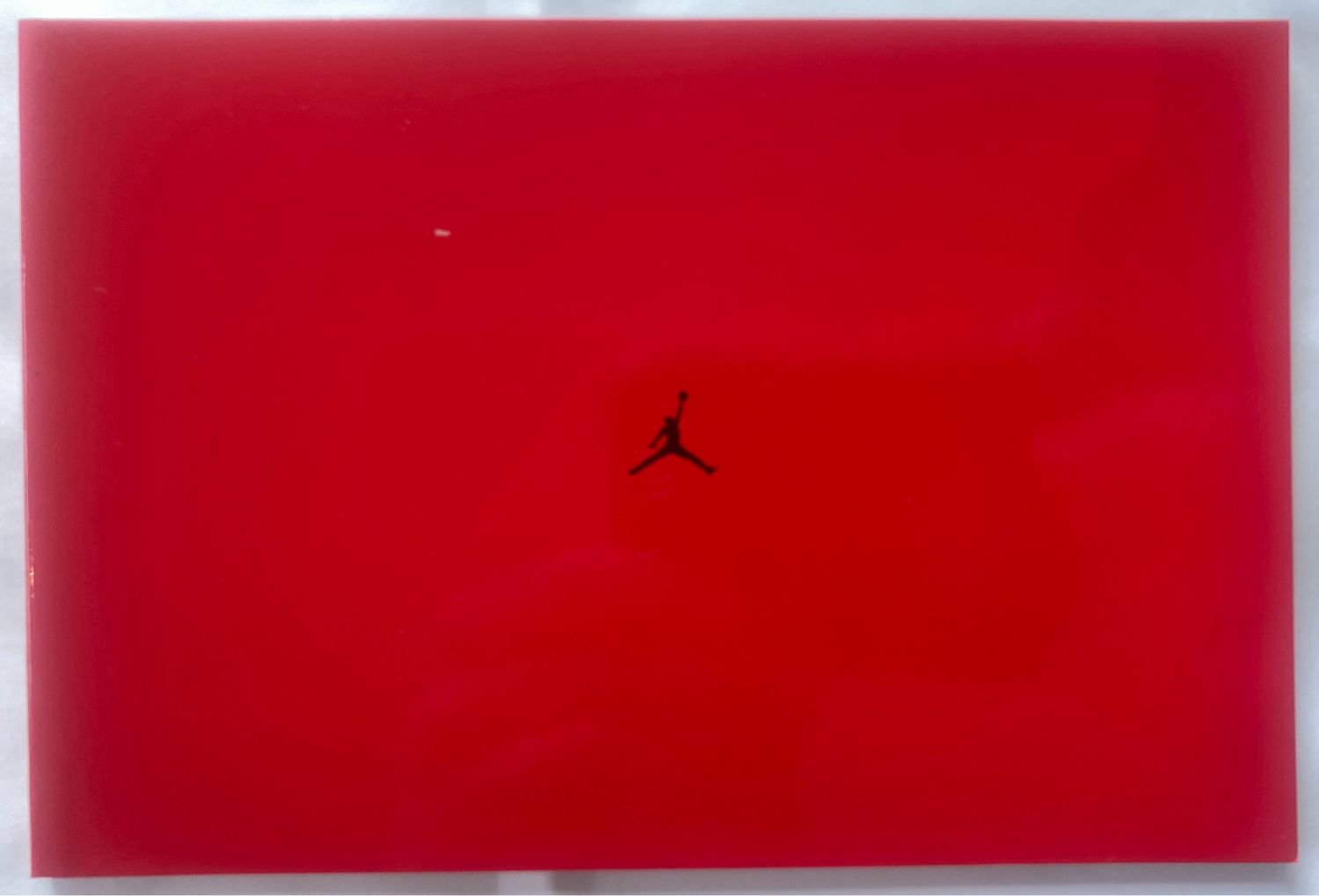 Nike Air Jordan book