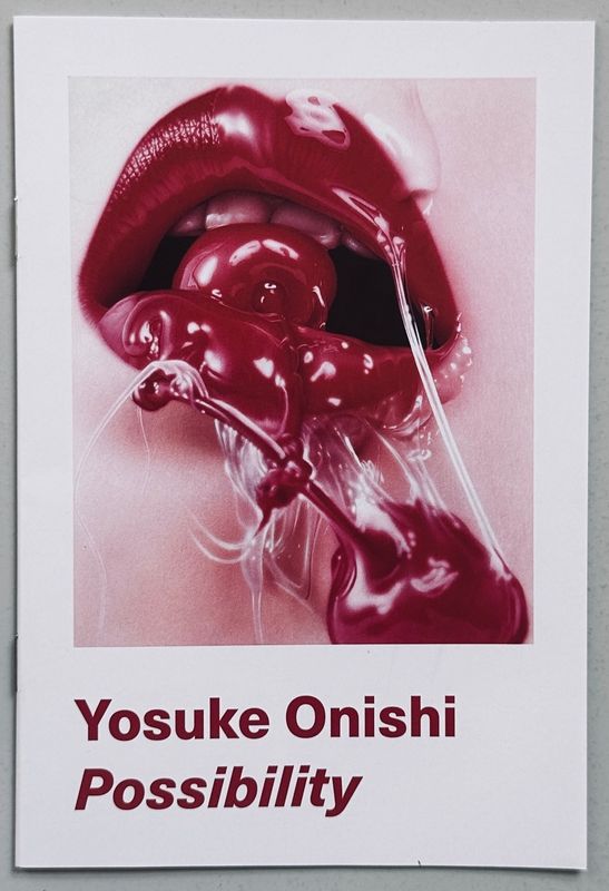 Yosuke Onishi Possibility