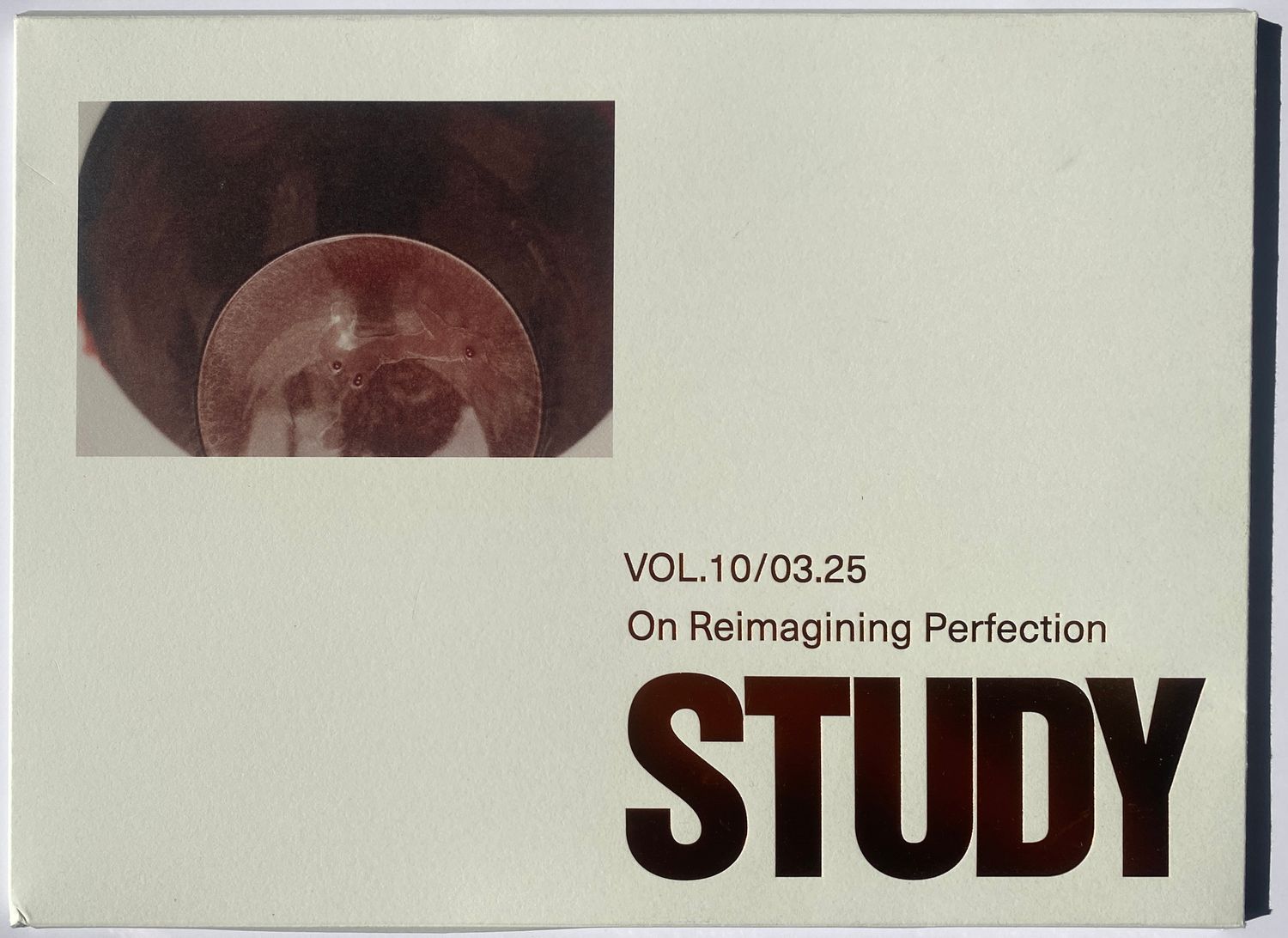 Study Volume 10 - On Reimagining Perfection