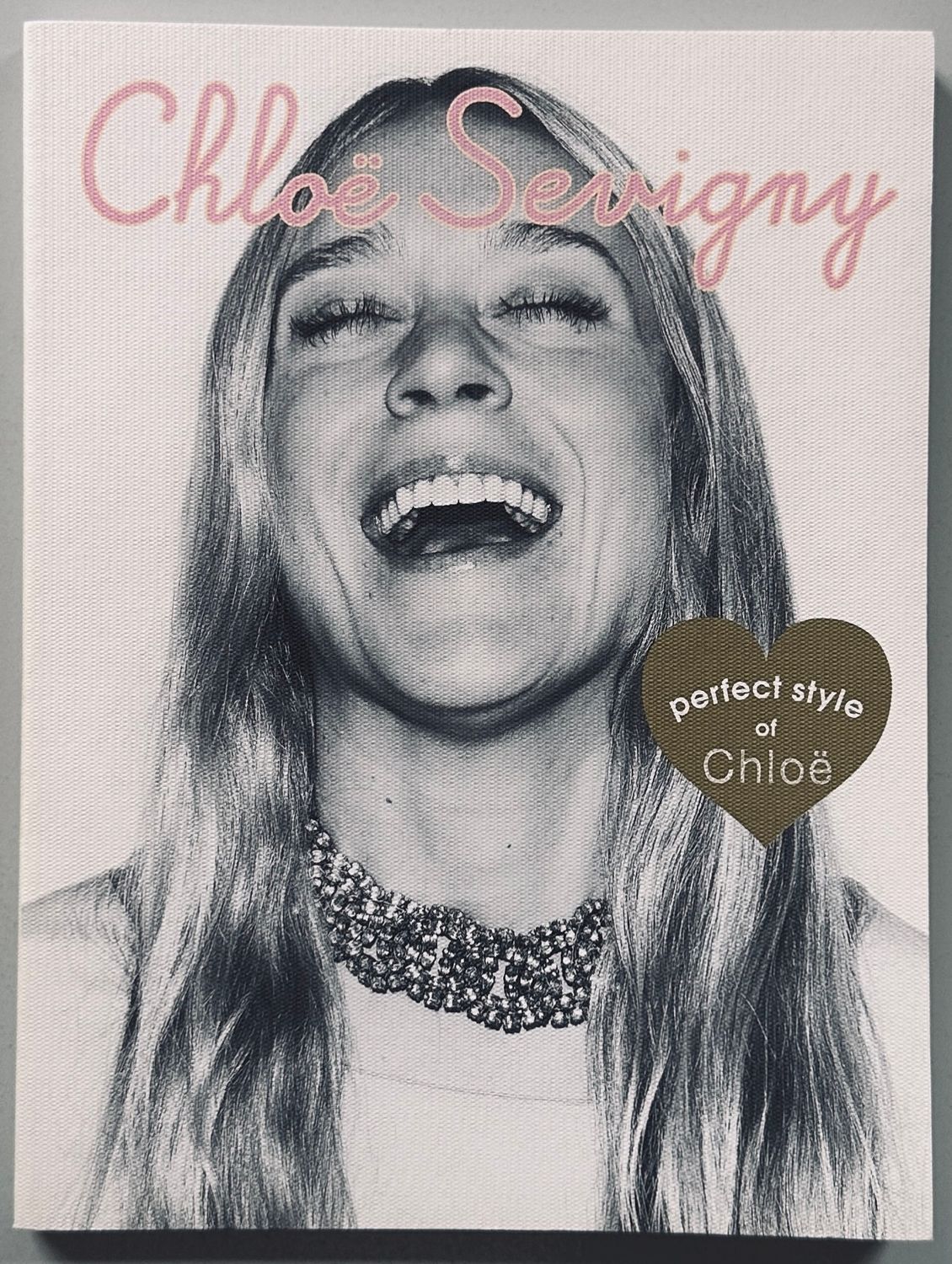 Chloe Sevigny Perfect Style