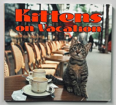 Kittens On Vacation
