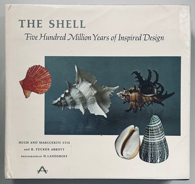 The Shell