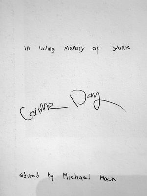 【美品】Corinne Day: Diary 4011668895.jpg