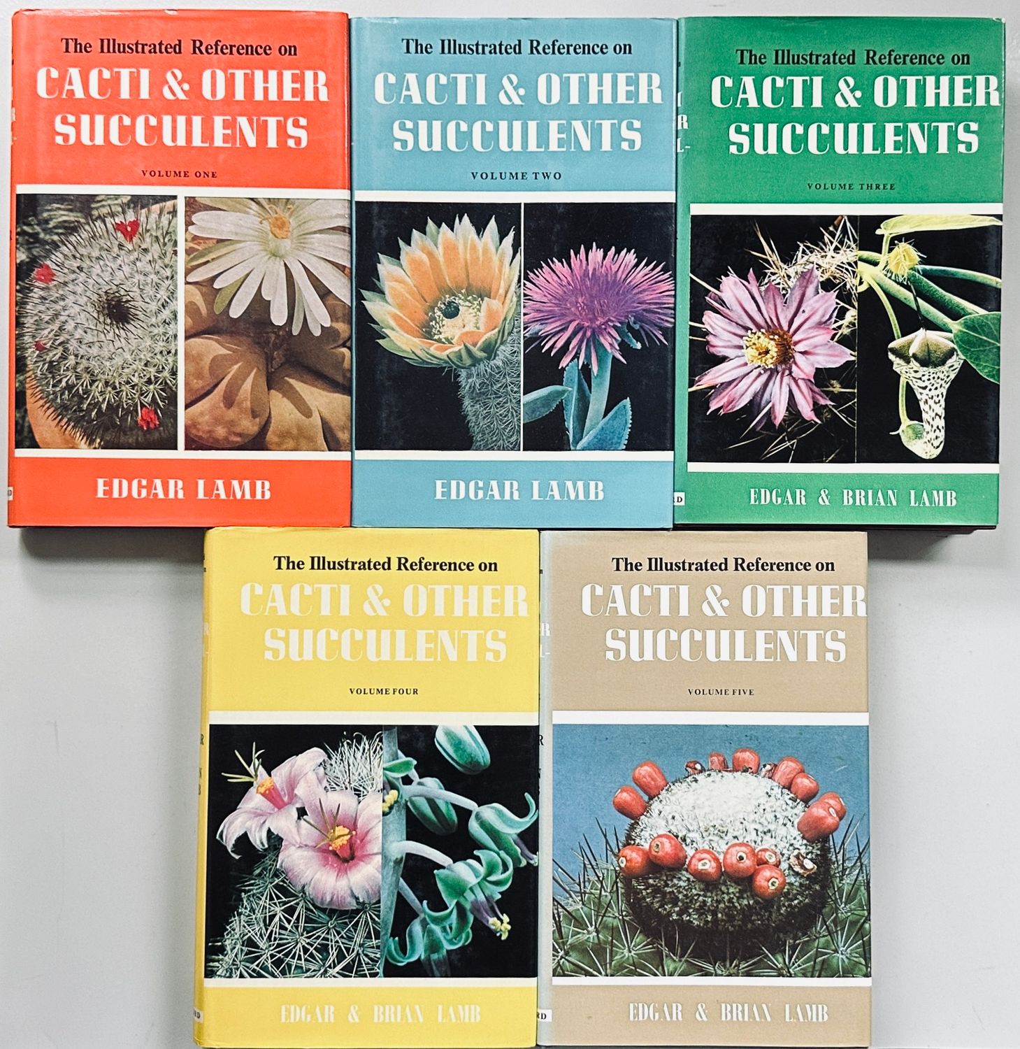 Cacti & Other Succulents 1-5