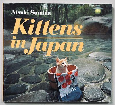 Kittens In Japan