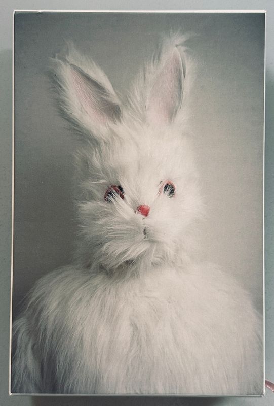 [SIGNED] NICK CAVE DEATH OF BUNNY MUNRO