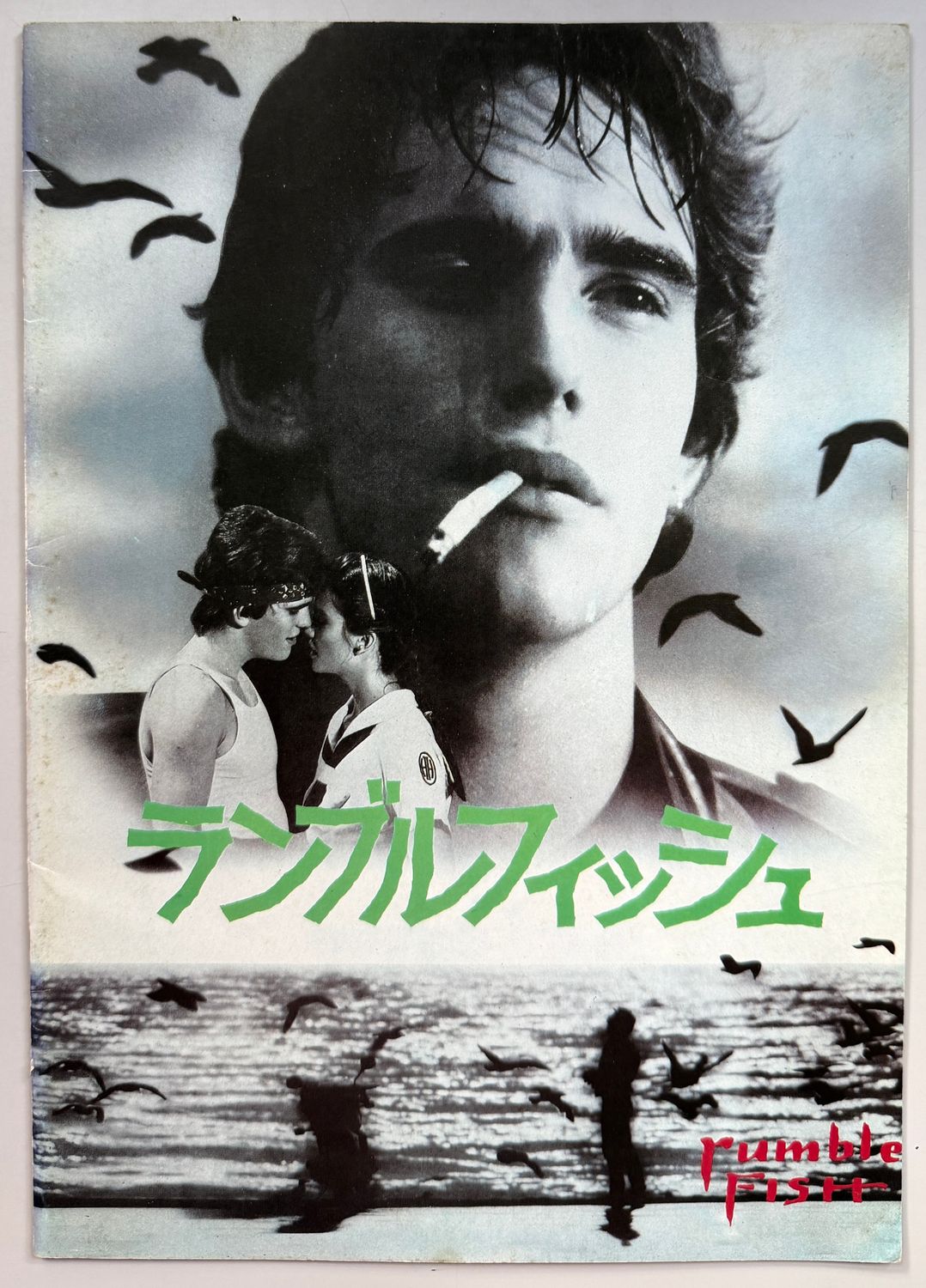 Rumblefish Programme