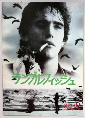 Rumblefish Programme Rumblefish Programme