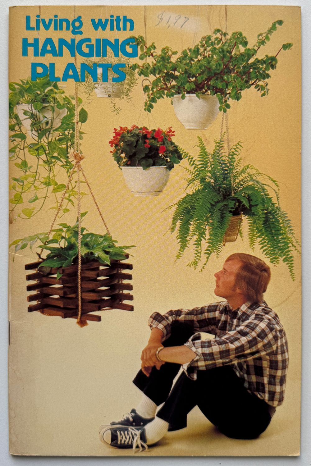 Living With Hanging Plants