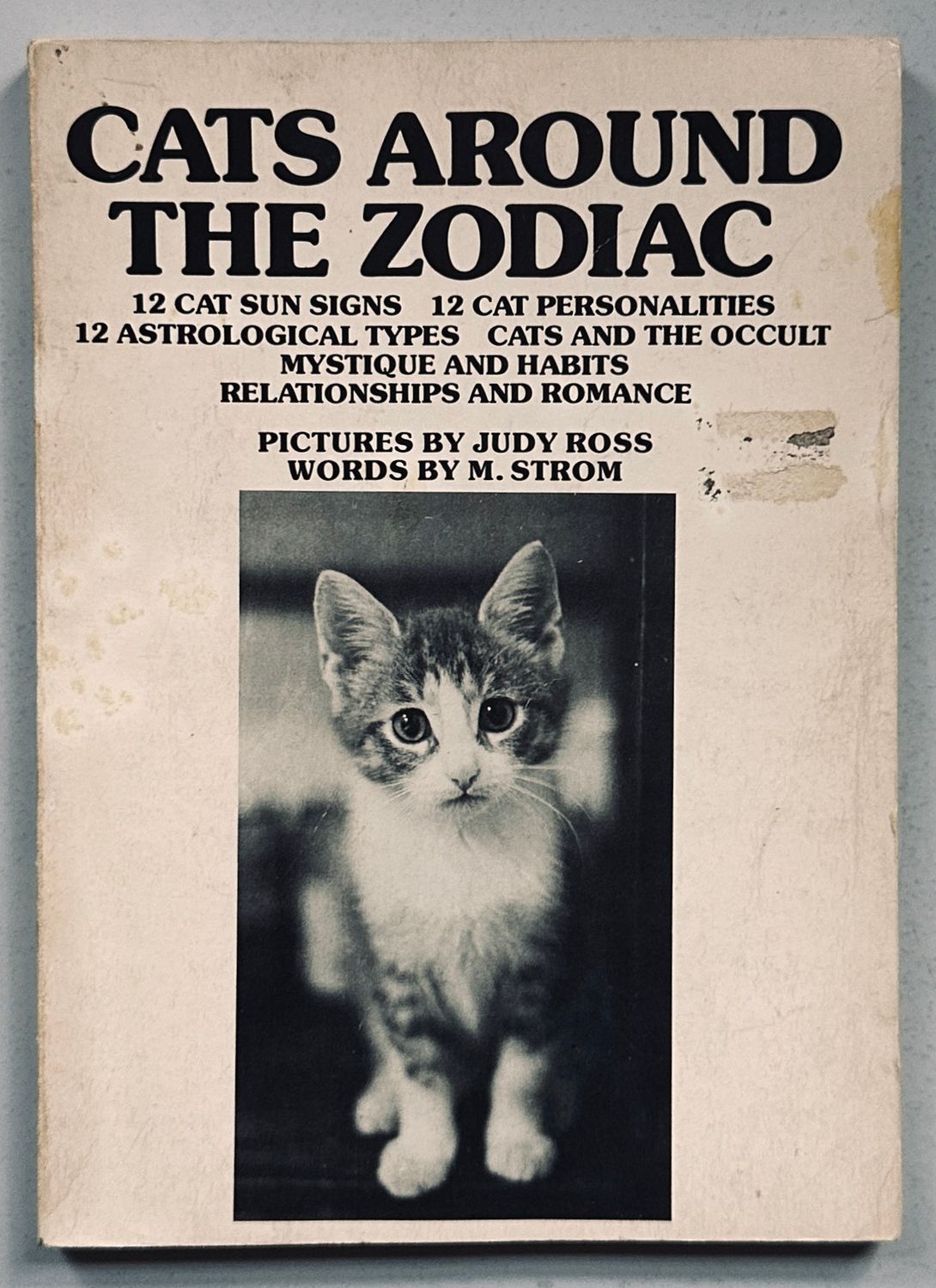 Cats Around The Zodiac