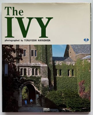 The Ivy