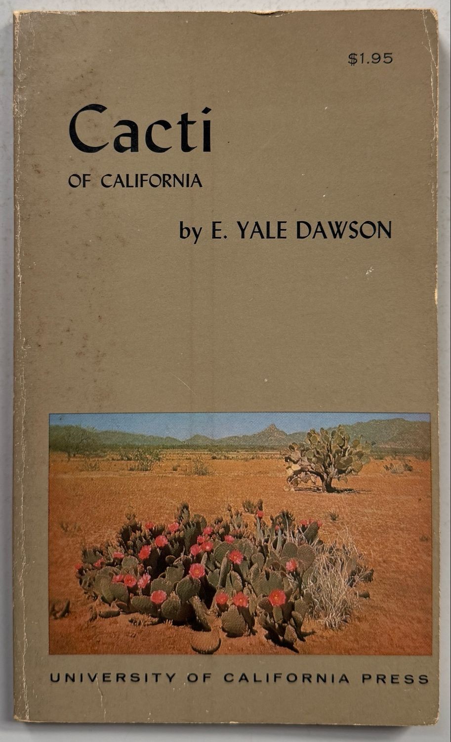 The Cacti of California