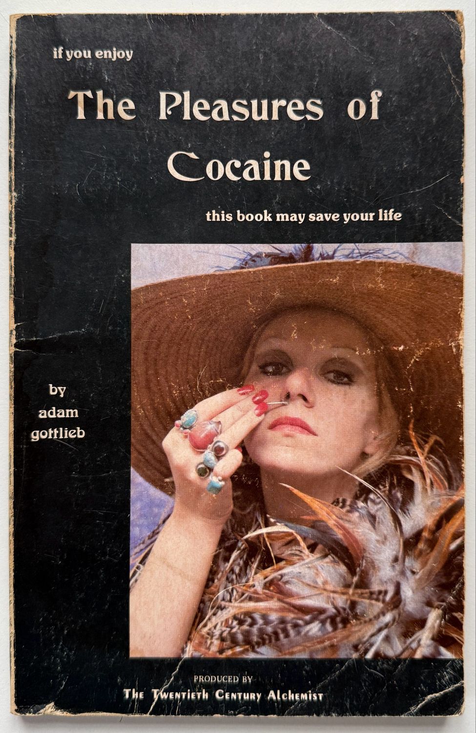 The Pleasures of Cocaine