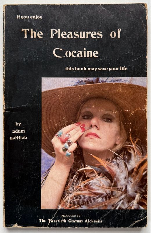 The Pleasures of Cocaine