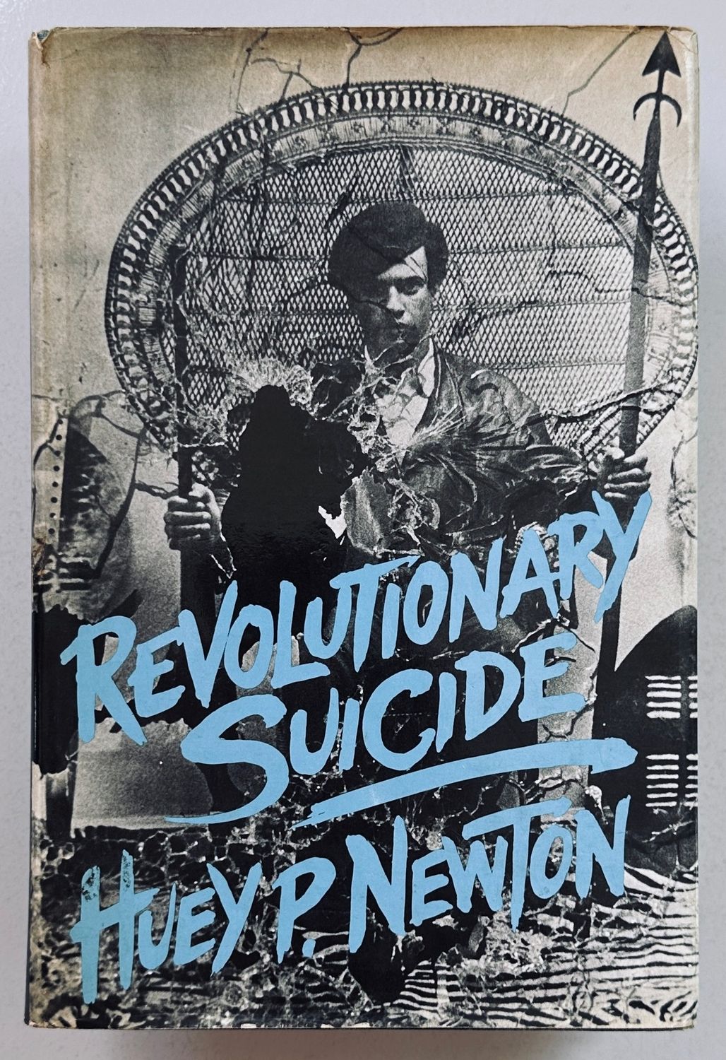 Revolutionary Suicide
