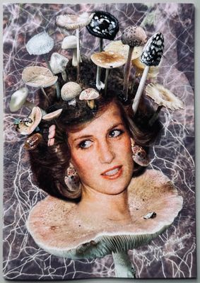 Princess Diana as Mushrooms Volume 2