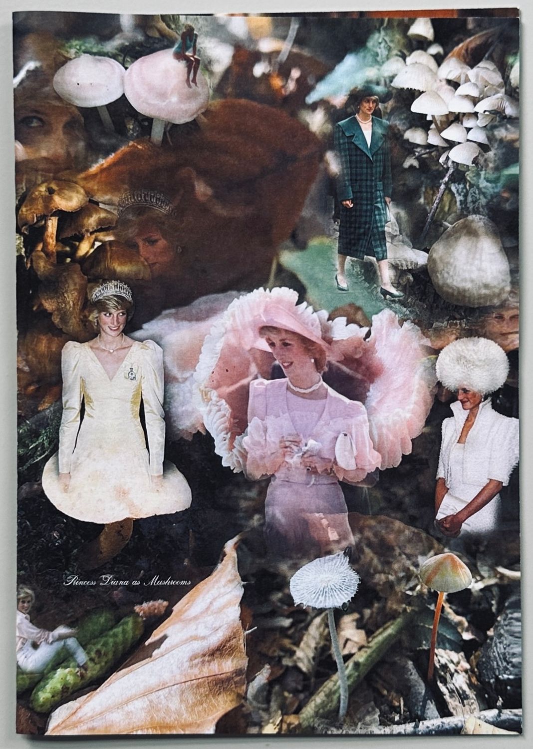 Princess Diana as Mushrooms Princess Diana as Mushrooms