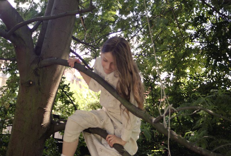 Angela Hill - Sylvia tree