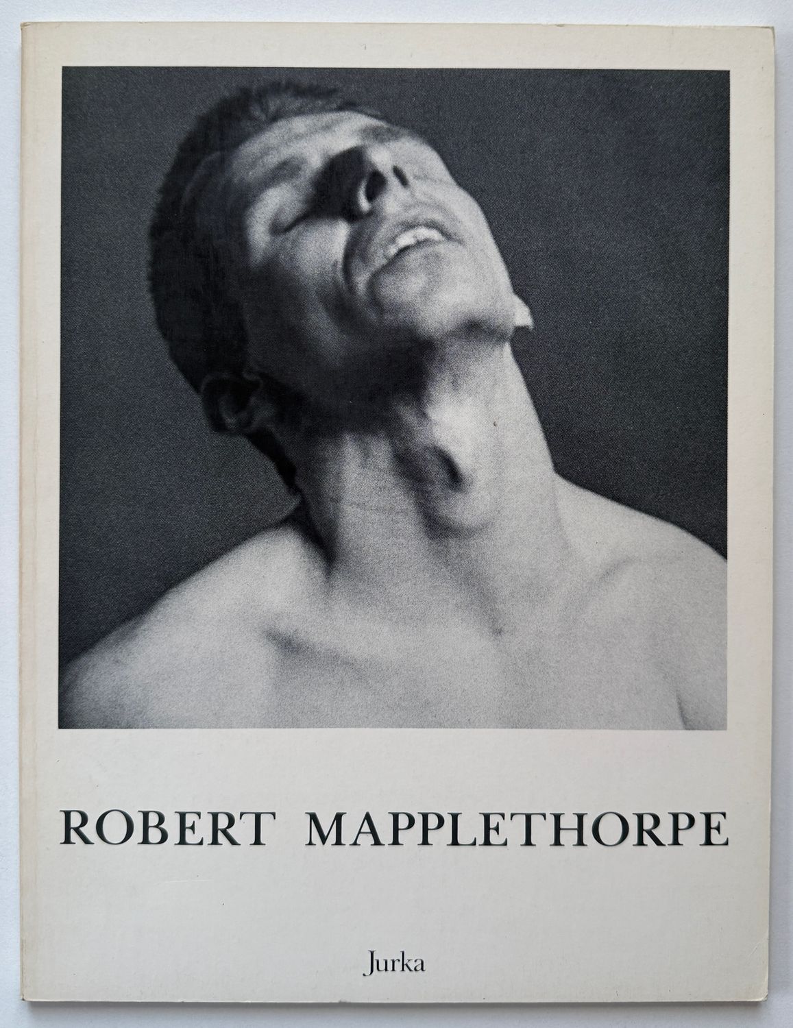 Robert Mapplethorpe Black Males Robert Mapplethorpe Black Males