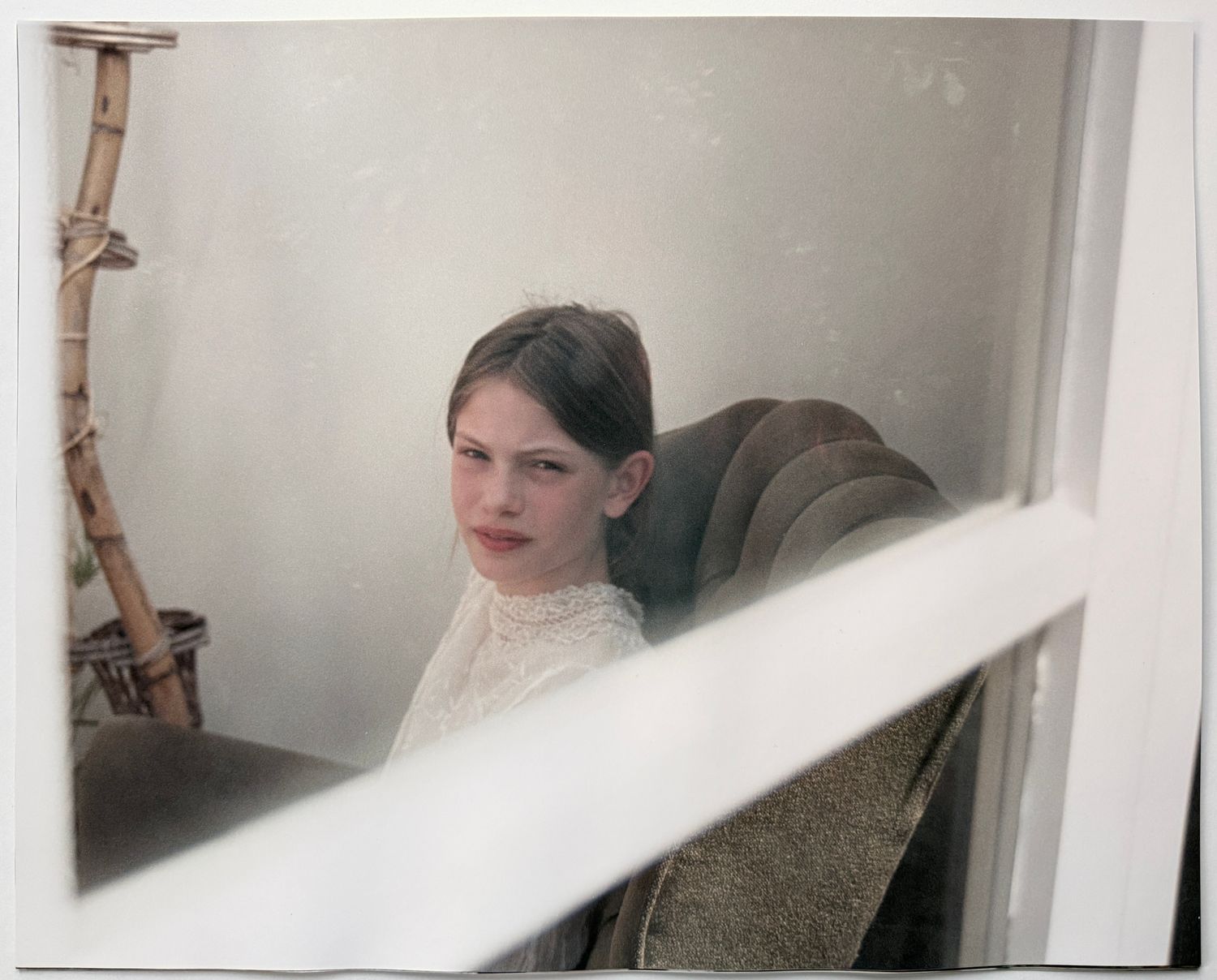 Angela Hill - Sylvia conservatory Angela Hill - Sylvia conservatory