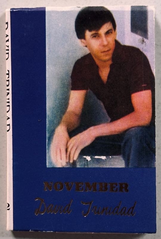 David Trinidad November Hanuman