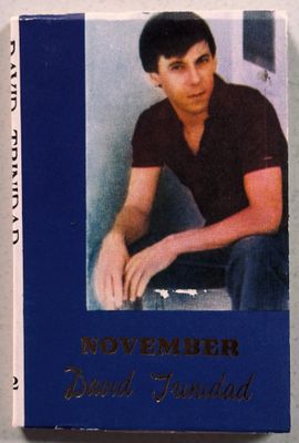 David Trinidad November Hanuman