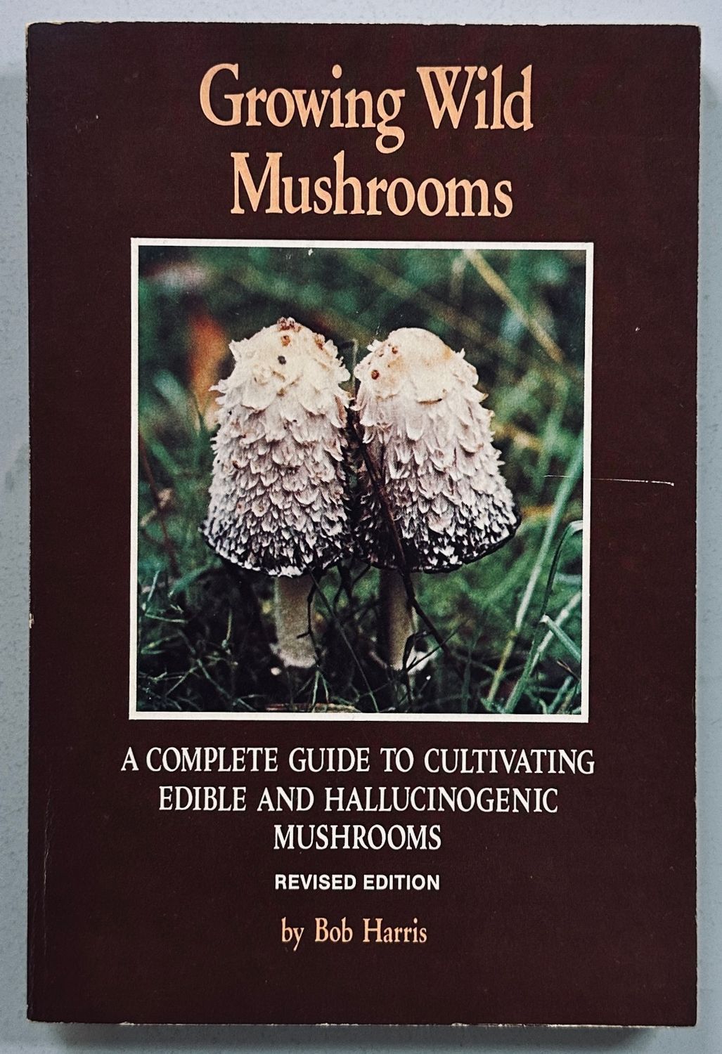 Growing Wild Mushrooms Growing Wild Mushrooms