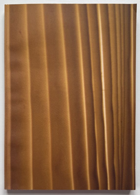 Celine Phoebe Philo 2010