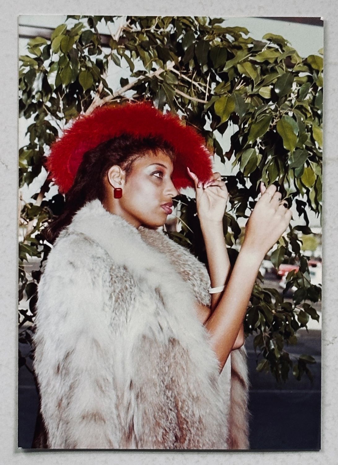 Emily Walter Archive