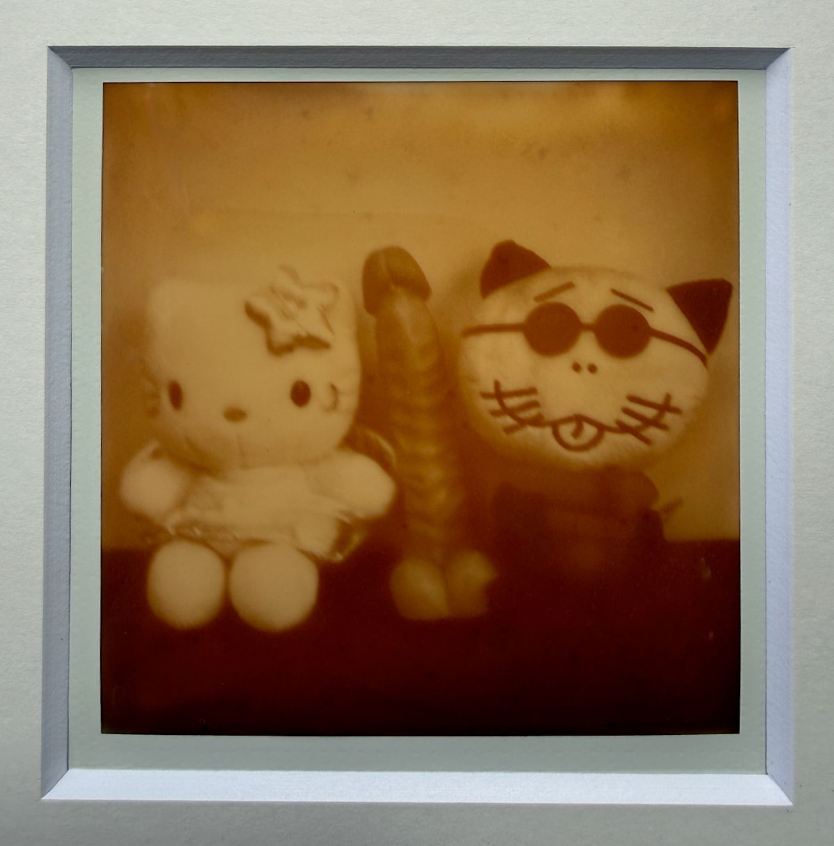 [SIGNED] ARAKI POLAROID