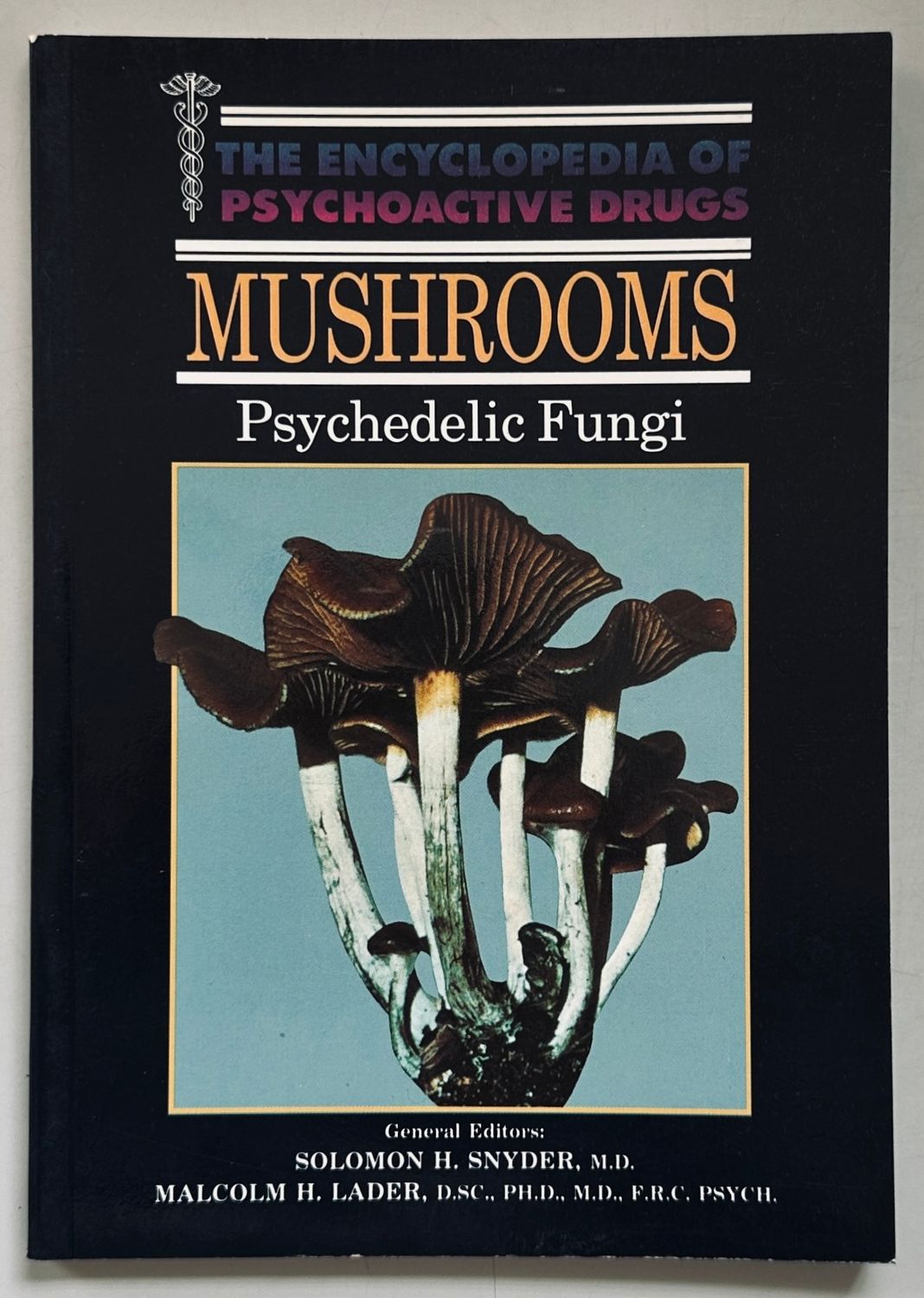 Mushrooms Psychedelic Fungi