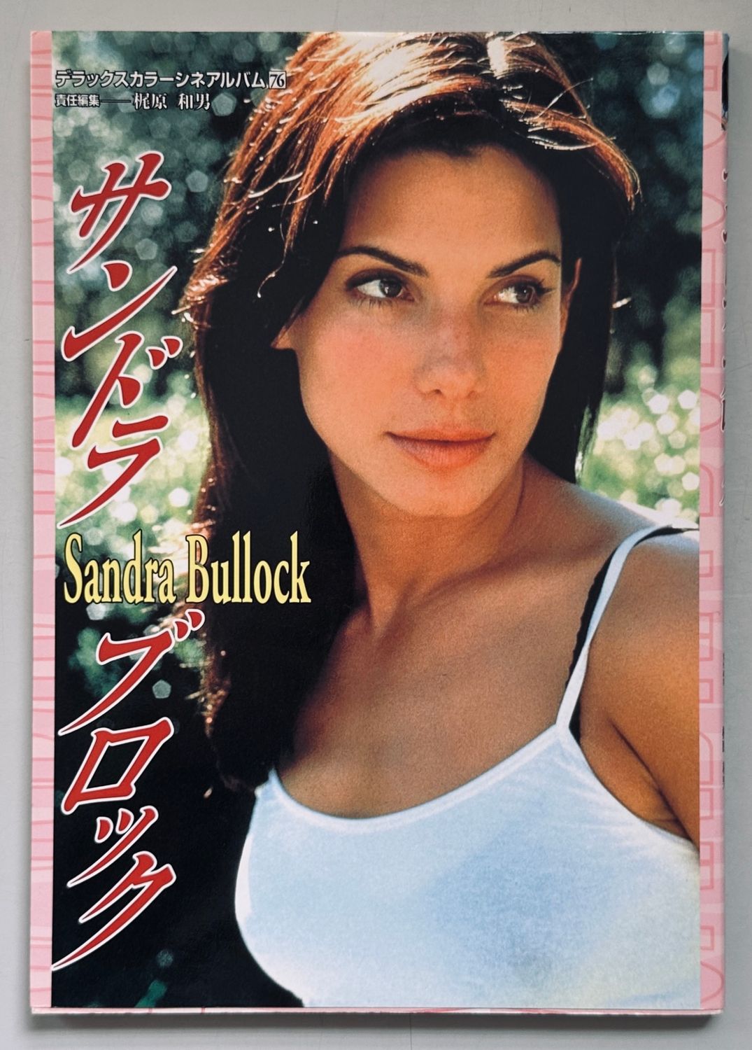 Sandra Bullock Icon Book