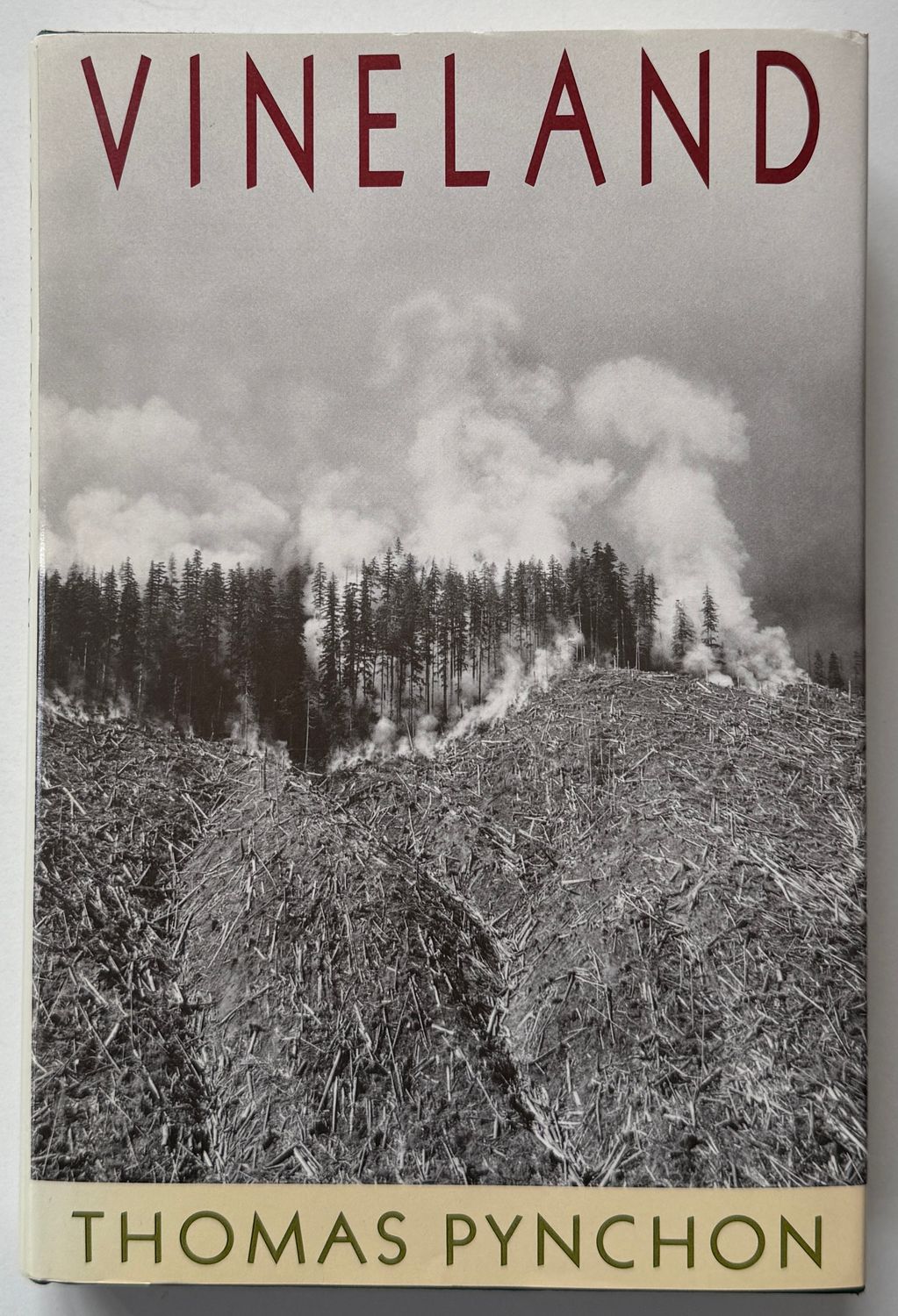 Thomas Pynchon Vineland