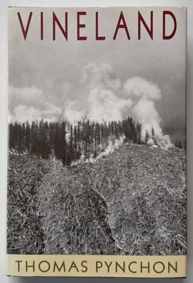 Thomas Pynchon Vineland