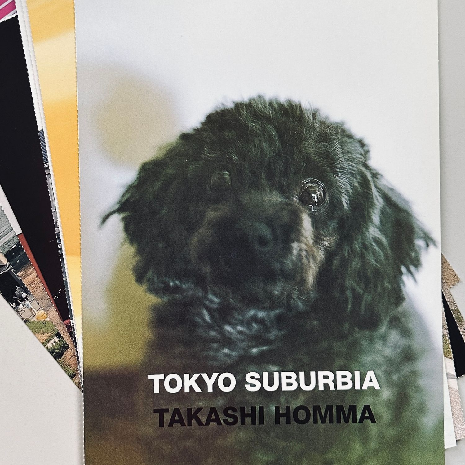 Takashi Homma Tokyo Suburbia Exhibition Card Set